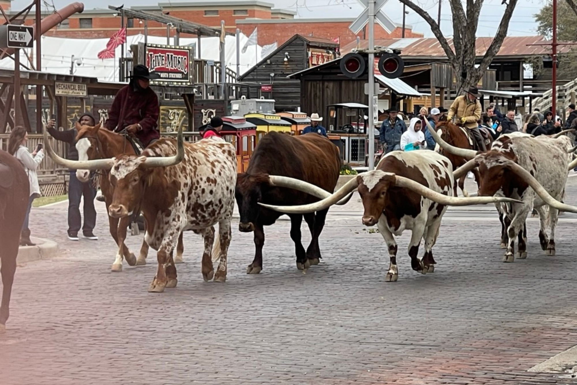 Historic Fort Worth Stockyards